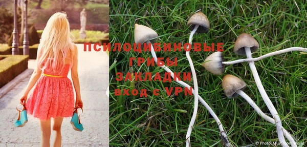 MDMA Premium VHQ Волоколамск