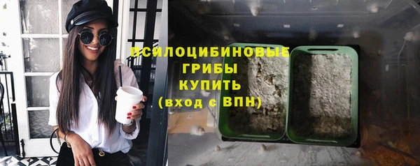 ECSTASY Волосово