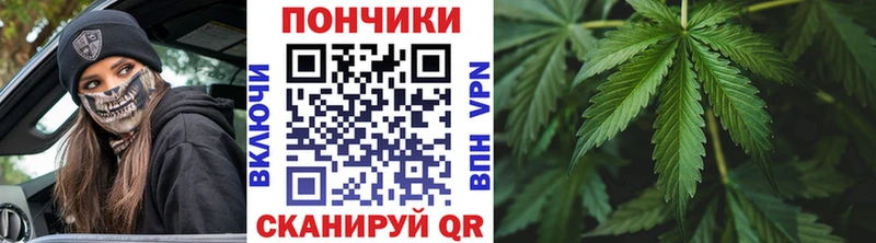 shop состав  блэк спрут онион  Липецк  Канабис OG Kush 